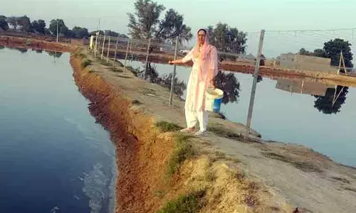 झींगा पालन से आत्मनिर्भर बनी Sirsa की महिला