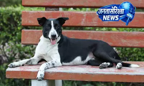 Chandigarh किसान हत्या मामले में डॉग बना पुलिस का मददगार