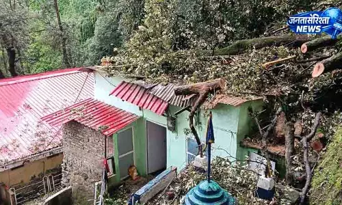 भारी बारिश के बीच Shimla में पेड़ गिरा, परिवार सुरक्षित भारी बारिश के बीच Shimla में पेड़ गिरा, परिवार सुरक्षित