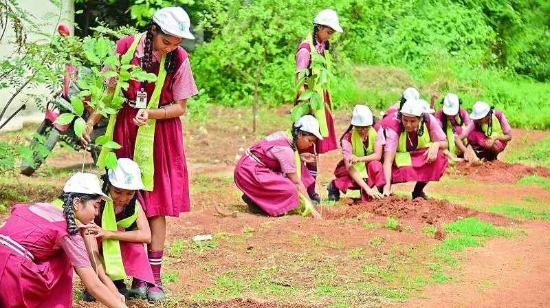 Telangana: मल्काजगिरी नगर निगम वृक्षारोपण को बढ़ावा दे रहा है Telangana: मल्काजगिरी नगर निगम वृक्षारोपण को बढ़ावा दे रहा है