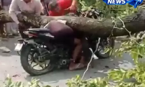 गोबरा में बाइक सवार पर गिरा पेड़, बाल कटवाकर लौट रहे युवक के साथ हादसा; इलाके में पसरा मातम गोबरा में बाइक सवार पर गिरा पेड़, बाल कटवाकर लौट रहे युवक के साथ हादसा; इलाके में पसरा मातम