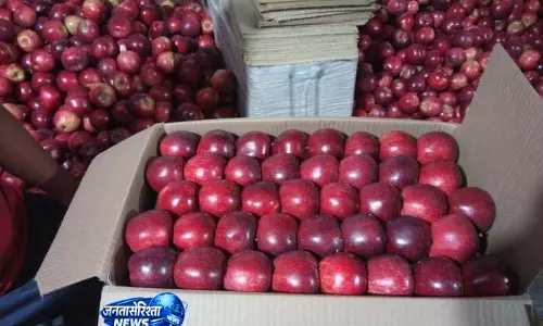 सितंबर में सजेगा कुल्लू का एप्पल शो सितंबर में सजेगा कुल्लू का एप्पल शो