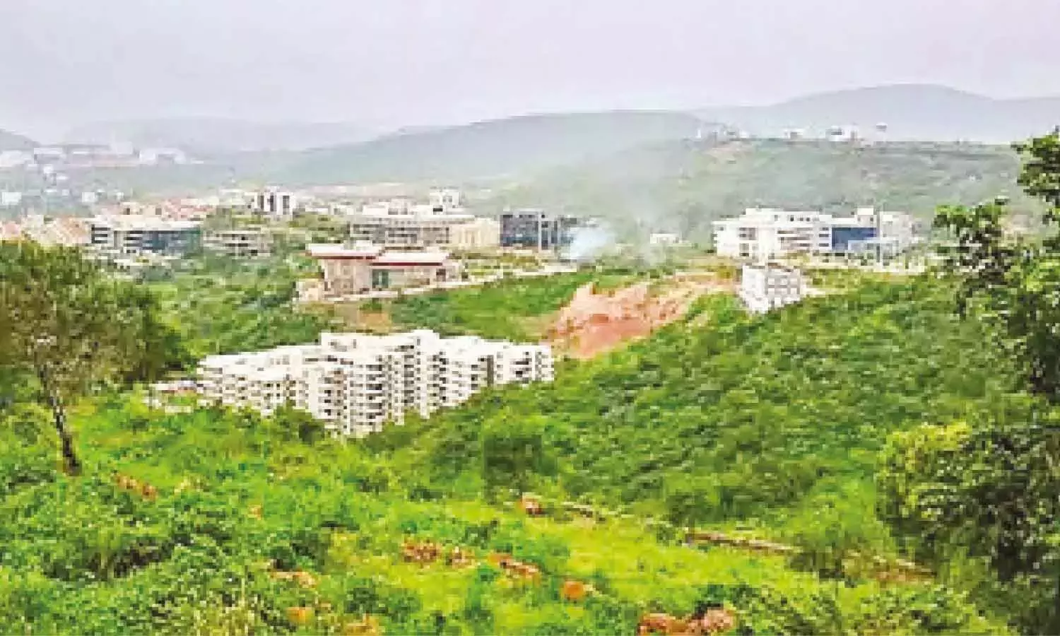 Andhra: विजाग में आईटी क्षेत्र के विकास में शामिल होने के लिए लोग Andhra: विजाग में आईटी क्षेत्र के विकास में शामिल होने के लिए लोग