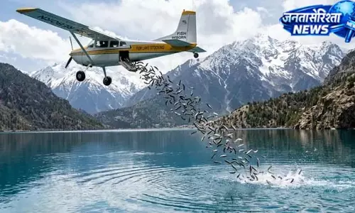 आसमान से गिरीं मछलियां, लोग रह गए हैरान आसमान से गिरीं मछलियां, लोग रह गए हैरान