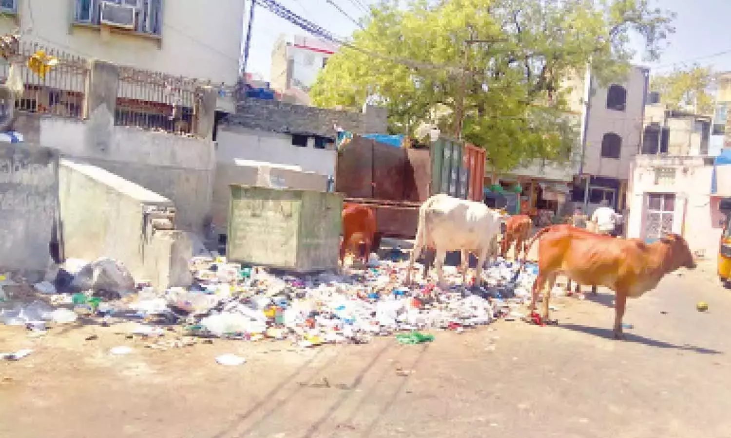 KMC मुख्य सड़कों की सफाई करता है, आंतरिक कुरनूल वार्डों को सड़ने के लिए छोड़ देता है KMC मुख्य सड़कों की सफाई करता है, आंतरिक कुरनूल वार्डों को सड़ने के लिए छोड़ देता है