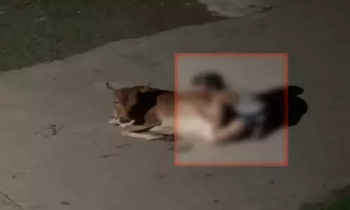 रायपुर में गौवंश के साथ अनाचार का आरोप, अपराध दर्ज रायपुर में गौवंश के साथ अनाचार का आरोप, अपराध दर्ज