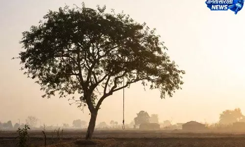एक ही पेड़ पर युवक-युवती के शव फांसी के फंदे पर मिले, जांच में जुटी पुलिस एक ही पेड़ पर युवक-युवती के शव फांसी के फंदे पर मिले, जांच में जुटी पुलिस
