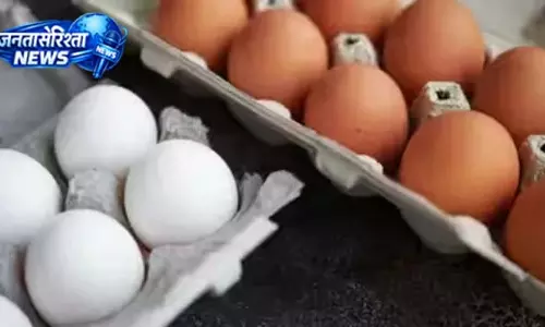 19 लाख से ज्यादा अंडे बाजार से हटाए गए, उपभोक्ताओं को सतर्क रहने की सलाह 19 लाख से ज्यादा अंडे बाजार से हटाए गए, उपभोक्ताओं को सतर्क रहने की सलाह