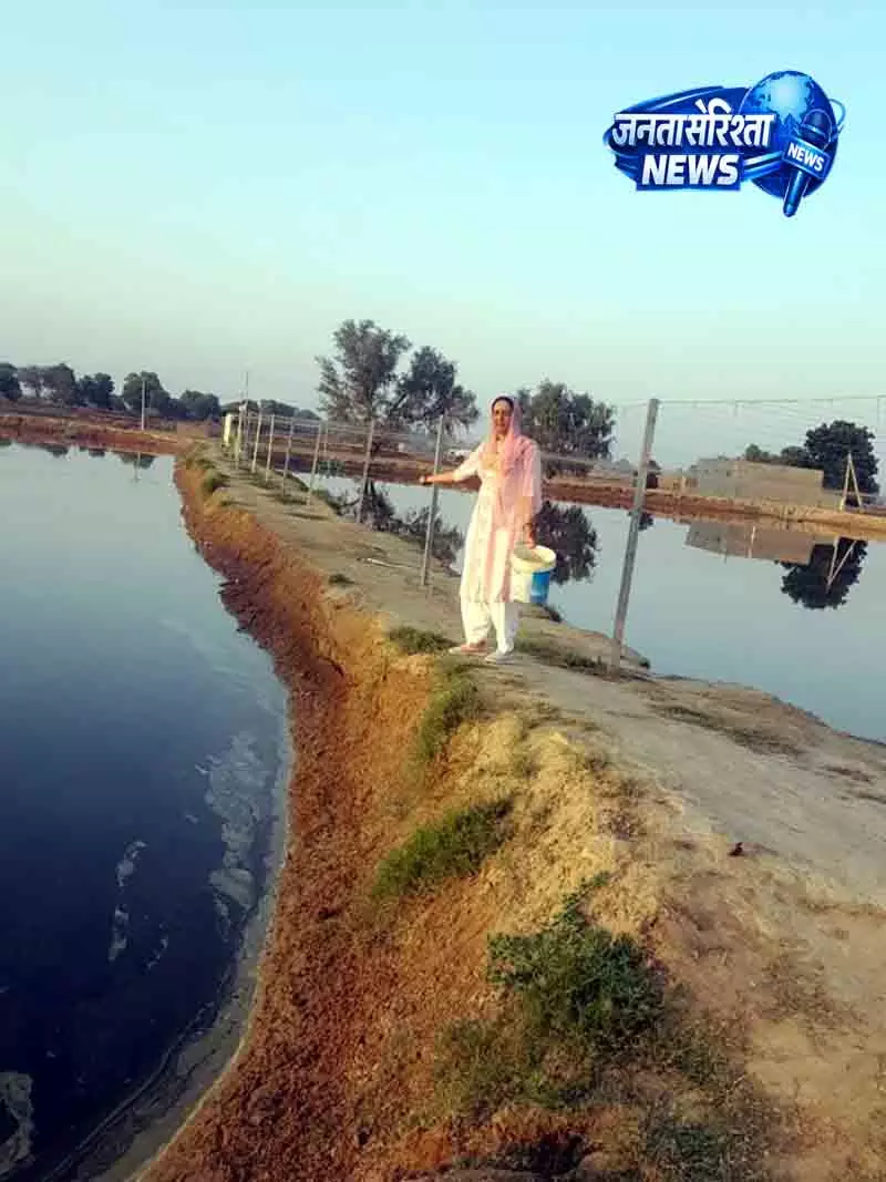 Haryana की महिला ने झींगा पालन से बनाई नई पहचान Haryana की महिला ने झींगा पालन से बनाई नई पहचान