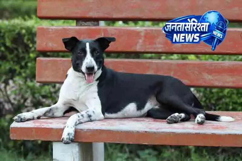 Chandigarh किसान हत्या मामले में डॉग बना पुलिस का मददगार
