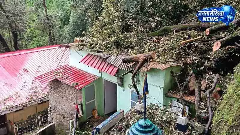 भारी बारिश के बीच Shimla में पेड़ गिरा, परिवार सुरक्षित भारी बारिश के बीच Shimla में पेड़ गिरा, परिवार सुरक्षित
