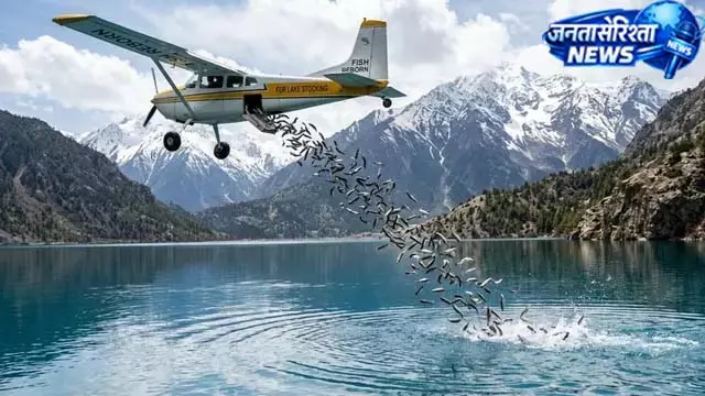 आसमान से गिरीं मछलियां, लोग रह गए हैरान आसमान से गिरीं मछलियां, लोग रह गए हैरान