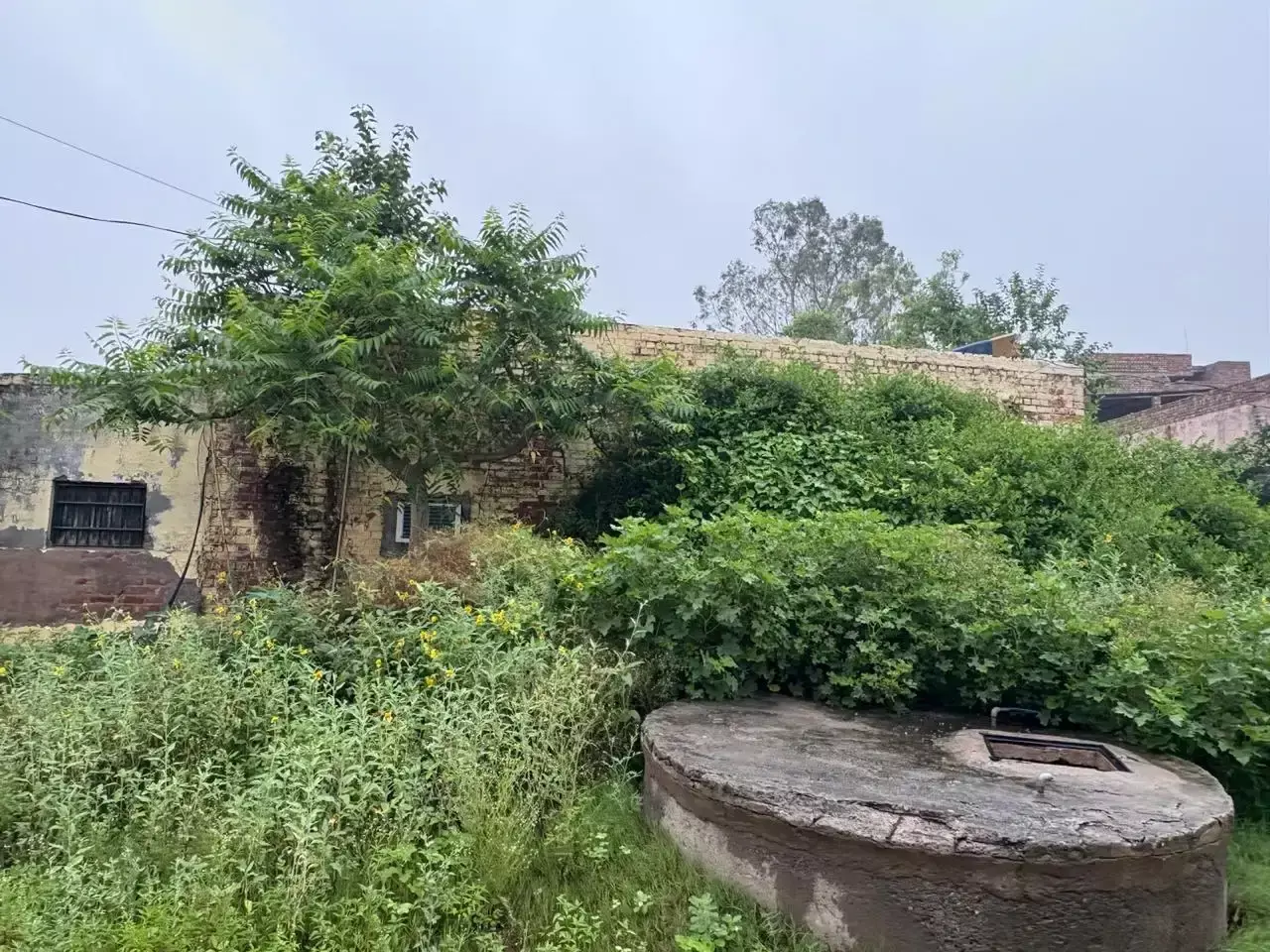 Nuh: नगीना अस्पताल में पानी की किल्लत, मरीजों और परिजनों की बढ़ी मुश्किलें Nuh: नगीना अस्पताल में पानी की किल्लत, मरीजों और परिजनों की बढ़ी मुश्किलें