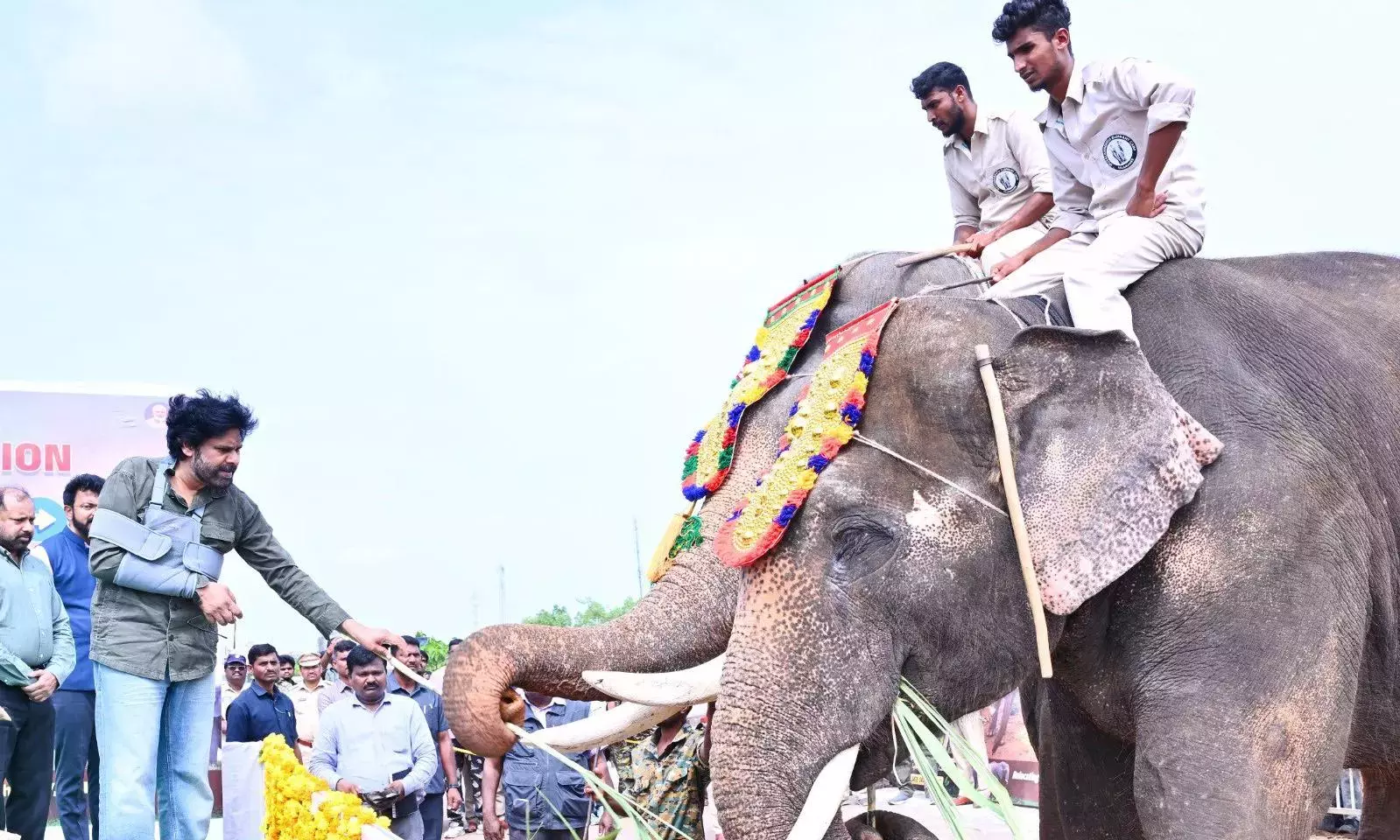 AP के डिप्टी सीएम पवन कल्याण ने अमरावती में कुमकी हाथियों का स्वागत किया