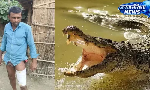मछली पकड़ते युवक पर मगरमच्छ का हमला, ग्रामीणों ने जान जोखिम में डालकर बचाई जान मछली पकड़ते युवक पर मगरमच्छ का हमला, ग्रामीणों ने जान जोखिम में डालकर बचाई जान