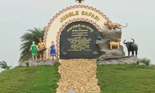 नंदनवन जंगल सफारी बना प्रकृति प्रेमियों और पर्यटकों का पसंदीदा केंद्र