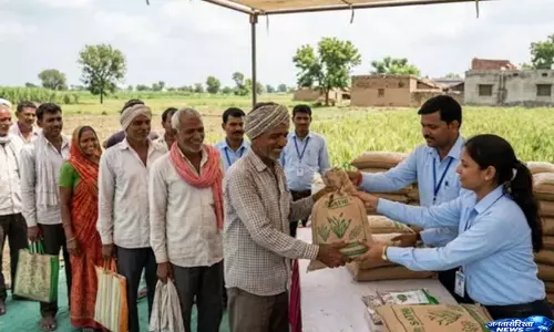 बीज विक्रेताओं को अलर्ट, 31 जुलाई तक पंजीकरण अनिवार्य बीज विक्रेताओं को अलर्ट, 31 जुलाई तक पंजीकरण अनिवार्य
