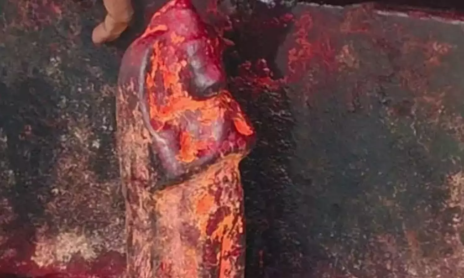 Andhra: तिरुमाला में चोरी हुई हनुमान की मूर्ति 14 घंटे में बरामद हुई Andhra: तिरुमाला में चोरी हुई हनुमान की मूर्ति 14 घंटे में बरामद हुई