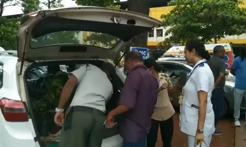 समाज सेवक तुलसीदास फल देसाई ने चिकालिम जिला अस्पताल में फलदार पौधे बांटे समाज सेवक तुलसीदास फल देसाई ने चिकालिम जिला अस्पताल में फलदार पौधे बांटे