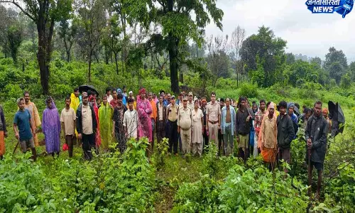 वन भूमि पर अतिक्रमण का प्रयास विफल वन भूमि पर अतिक्रमण का प्रयास विफल