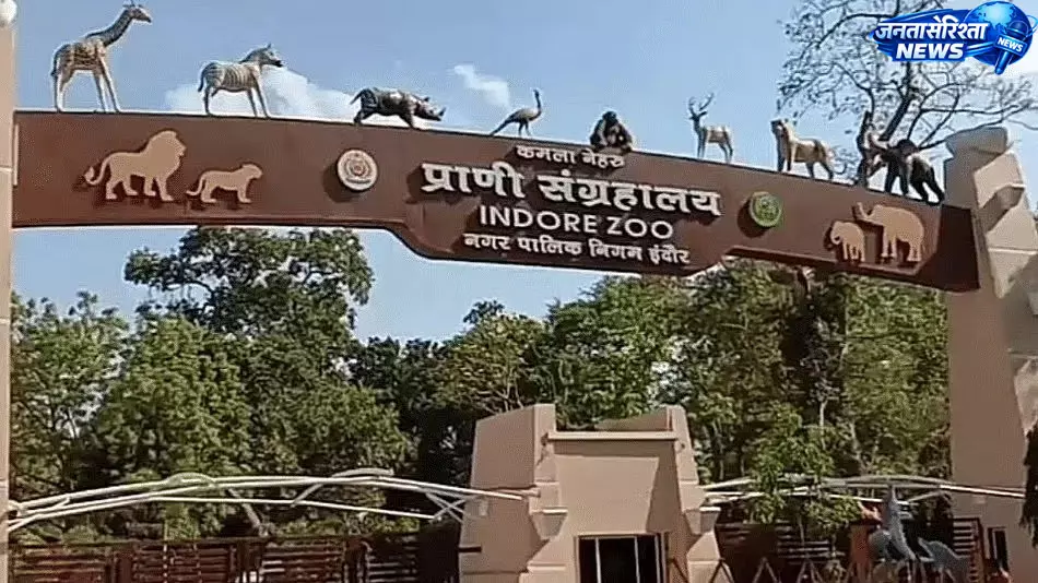 इंदौर चिड़ियाघर में आधुनिक एक्वेरियम परियोजना फिर अटकी इंदौर चिड़ियाघर में आधुनिक एक्वेरियम परियोजना फिर अटकी
