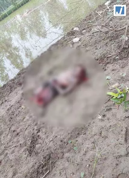पटाखा फैक्ट्री में धमाके के बाद दो लोगों की मौत, दो लापता पटाखा फैक्ट्री में धमाके के बाद दो लोगों की मौत, दो लापता