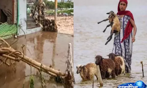 असम और गुजरात में बाढ़ से जनजीवन अस्त-व्यस्त, लोगों को बचाने के लिए सेना तैनात