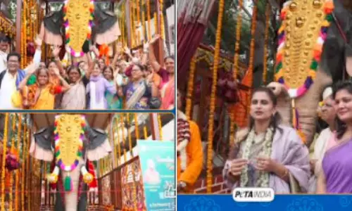 ISKCON पंढरपुर में रोबोटिक हाथी ‘ऐरावत’ लॉन्च ISKCON पंढरपुर में रोबोटिक हाथी ‘ऐरावत’ लॉन्च