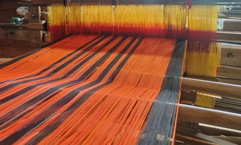 हथकरघा और कपड़ा निदेशालय की गड़बड़ियों की जांच करेगी मणिपुर सरकार की कमेटी हथकरघा और कपड़ा निदेशालय की गड़बड़ियों की जांच करेगी मणिपुर सरकार की कमेटी