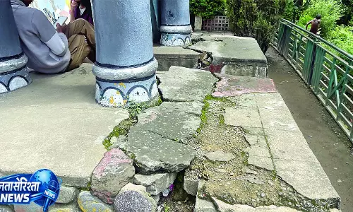 बदहाल हुए सोलन के पार्क, गड्ढों और टूटी पगडंडियों से बढ़ा हादसों का खतरा बदहाल हुए सोलन के पार्क, गड्ढों और टूटी पगडंडियों से बढ़ा हादसों का खतरा