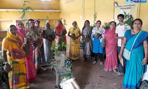CM विष्णुदेव साय के नेतृत्व में पर्यावरण संरक्षण को जनआंदोलन बनाने की अभिनव पहल