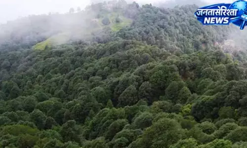 उत्तराखंड की ग्रीन पहल, नैबकान्स निभाएगा अहम भूमिका