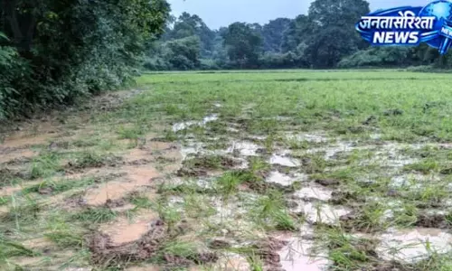 नोवामुंडी में हाथियों का आतंक, घर छोड़ स्कूल में रह रहे ग्रामीण नोवामुंडी में हाथियों का आतंक, घर छोड़ स्कूल में रह रहे ग्रामीण