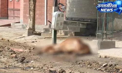 बारिश के बाद बिजली खंभे में उतरा करंट बारिश के बाद बिजली खंभे में उतरा करंट