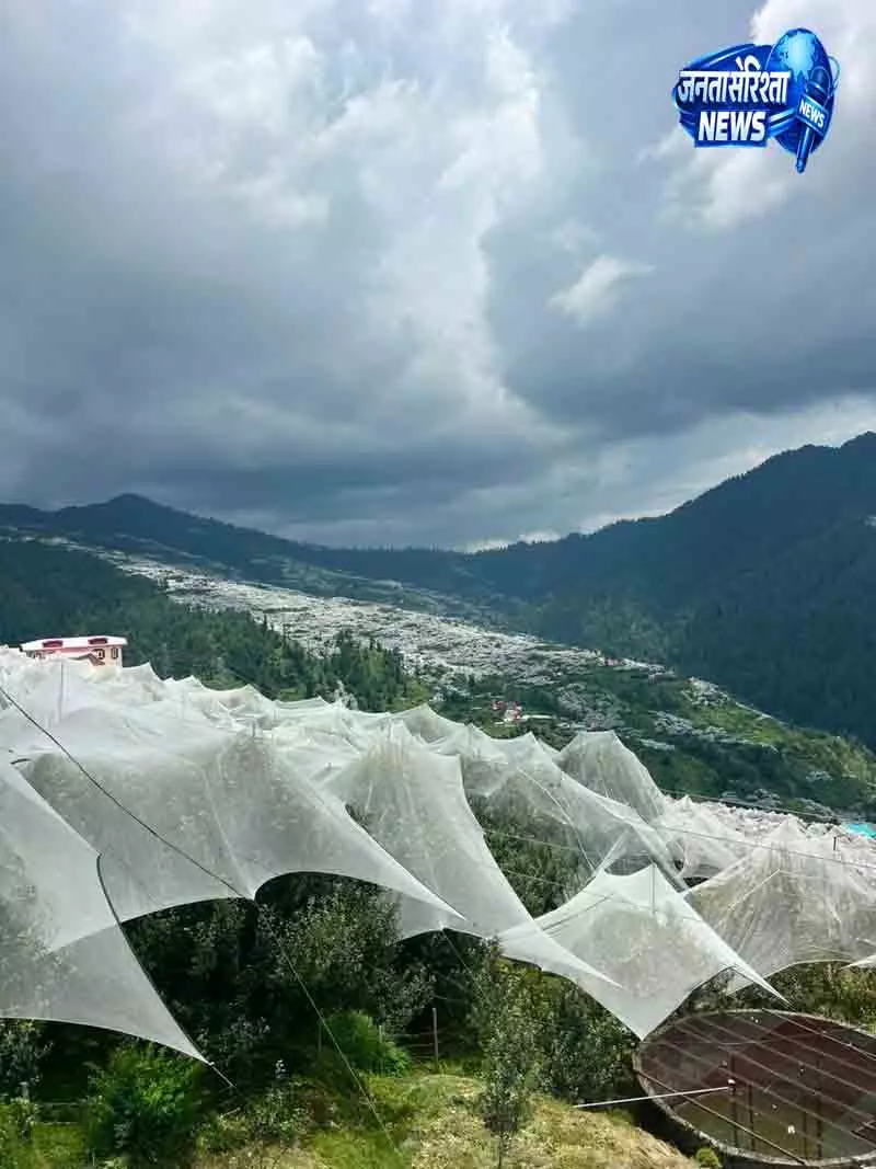 Himachal सेब की फसल खराब होने का बढ़ा खतरा Himachal सेब की फसल खराब होने का बढ़ा खतरा