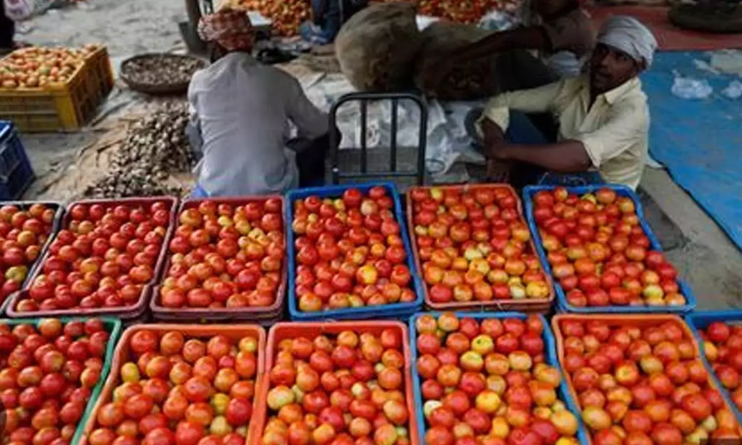 Andhra: बदलती मांग के बीच सीमा में टमाटर की कीमतों में उतार-चढ़ाव Andhra: बदलती मांग के बीच सीमा में टमाटर की कीमतों में उतार-चढ़ाव