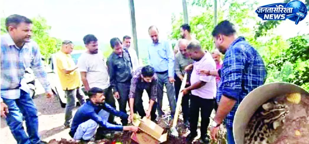 मोबाइल पोल के लिए खोदे गए गड्ढे में फंसे तेंदुए के शावक का दो घंटे बाद सफल रेस्क्यू मोबाइल पोल के लिए खोदे गए गड्ढे में फंसे तेंदुए के शावक का दो घंटे बाद सफल रेस्क्यू