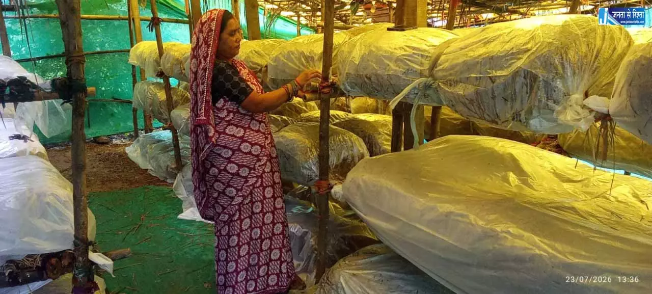 मशरूम उत्पादन से बदली जिंदगी, बिहान ने पुष्पा साव को बनाया आत्मनिर्भर मशरूम उत्पादन से बदली जिंदगी, बिहान ने पुष्पा साव को बनाया आत्मनिर्भर