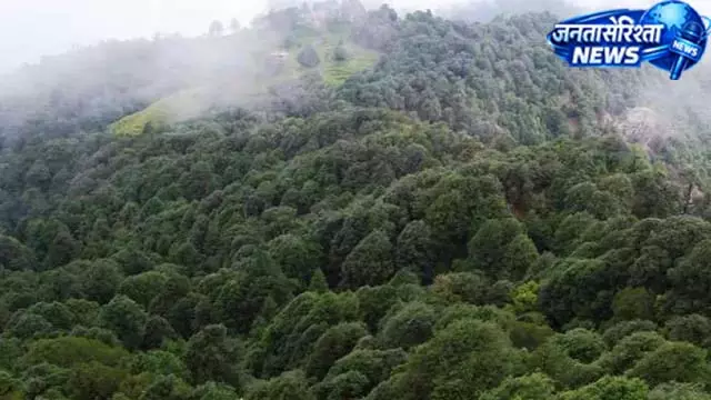 उत्तराखंड की ग्रीन पहल, नैबकान्स निभाएगा अहम भूमिका उत्तराखंड की ग्रीन पहल, नैबकान्स निभाएगा अहम भूमिका