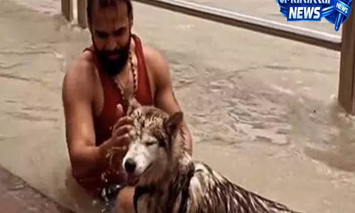 आवारा और आक्रामक कुत्तों के लिए नया इंतजाम, हरिद्वार में बनेगा राज्य का पहला डॉग पाउंड