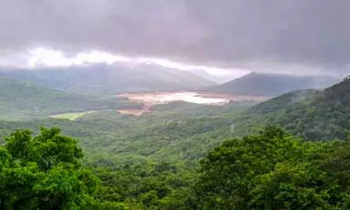 तमिलनाडु के पश्चिमी घाट के जिलों में हल्की से मध्यम बारिश की संभावना तमिलनाडु के पश्चिमी घाट के जिलों में हल्की से मध्यम बारिश की संभावना