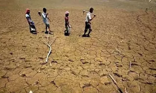 कर्नाटक में सूखे की मार, केंद्र से राष्ट्रीय आपदा घोषित करने की मांग कर्नाटक में सूखे की मार, केंद्र से राष्ट्रीय आपदा घोषित करने की मांग