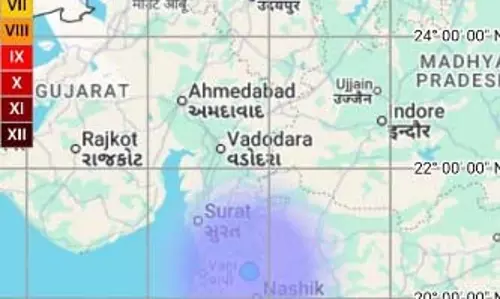 नासिक के चार तालुकों में महसूस हुए भूकंप के हल्के झटके, कोई जनहानि नहीं नासिक के चार तालुकों में महसूस हुए भूकंप के हल्के झटके, कोई जनहानि नहीं