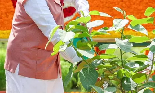 पीएम मोदी ने की एक पेड़ मां के नाम अभियान से जुड़ने की अपील, बोले- एक पौधा बन सकता है भविष्य की विरासत पीएम मोदी ने की एक पेड़ मां के नाम अभियान से जुड़ने की अपील, बोले- एक पौधा बन सकता है भविष्य की विरासत