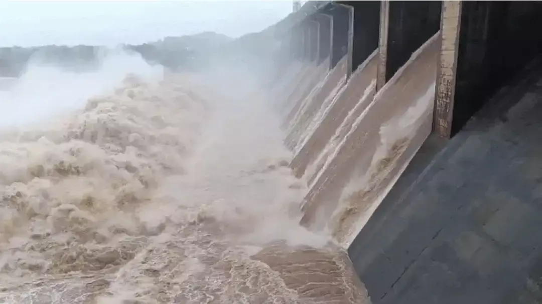 Valsad: मधुबन डैम टूटने की अफवाह पर प्रशासन सख्त, लोगों से सतर्क रहने की अपील Valsad: मधुबन डैम टूटने की अफवाह पर प्रशासन सख्त, लोगों से सतर्क रहने की अपील