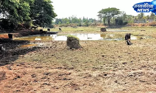बेंगलुरु डिवीजन के 37 तालुकों में सूखे जैसे हालात, बारिश की कमी से बढ़ी चिंता बेंगलुरु डिवीजन के 37 तालुकों में सूखे जैसे हालात, बारिश की कमी से बढ़ी चिंता