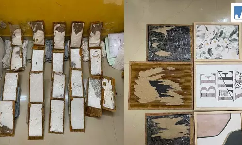 NCB ने विदेश भेजी जा रही 11 किलो एफेड्रिन जब्त की, आरोपी गिरफ्तार