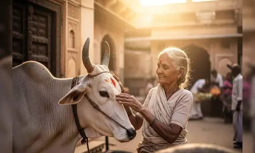 किस्मत चमकने से पहले मिलते हैं ये 5 संकेत, जानें धार्मिक मान्यताएं किस्मत चमकने से पहले मिलते हैं ये 5 संकेत, जानें धार्मिक मान्यताएं