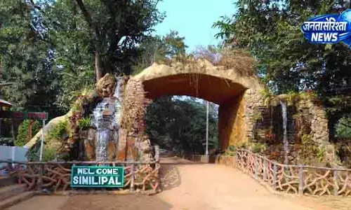 Similipal में अवैध शिकार रोकने के लिए 214 कैंप बनाए गए: RCCF Similipal में अवैध शिकार रोकने के लिए 214 कैंप बनाए गए: RCCF