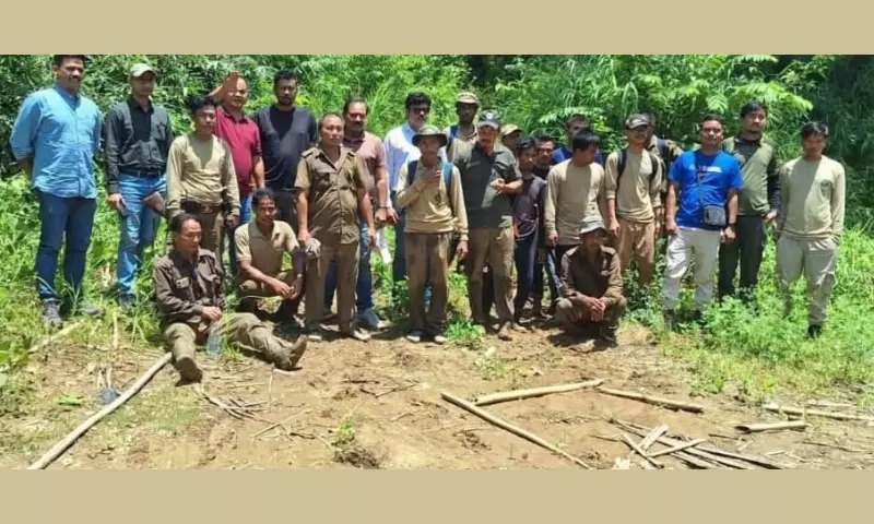 Assam: लापता 26 सदस्यीय वन विभाग की टीम सुरक्षित डिमा हसाओ के लैंगटिंग पहुंची